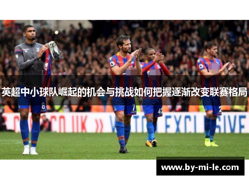英超中小球队崛起的机会与挑战如何把握逐渐改变联赛格局