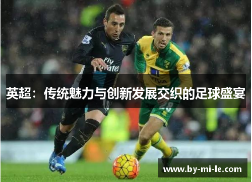 英超：传统魅力与创新发展交织的足球盛宴