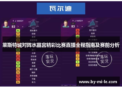 莱斯特城对阵水晶宫精彩比赛直播全程指南及赛前分析