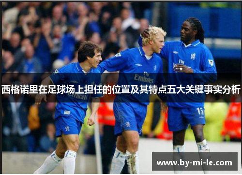 西格诺里在足球场上担任的位置及其特点五大关键事实分析 西格诺里在足球场上担任的位置及其特点五大关键事实分析