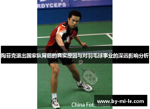陶菲克退出国家队背后的真实原因与对羽毛球事业的深远影响分析