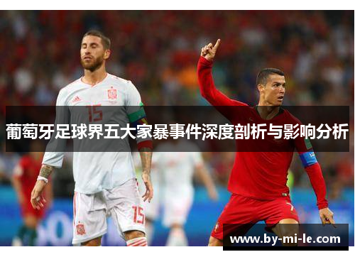 葡萄牙足球界五大家暴事件深度剖析与影响分析